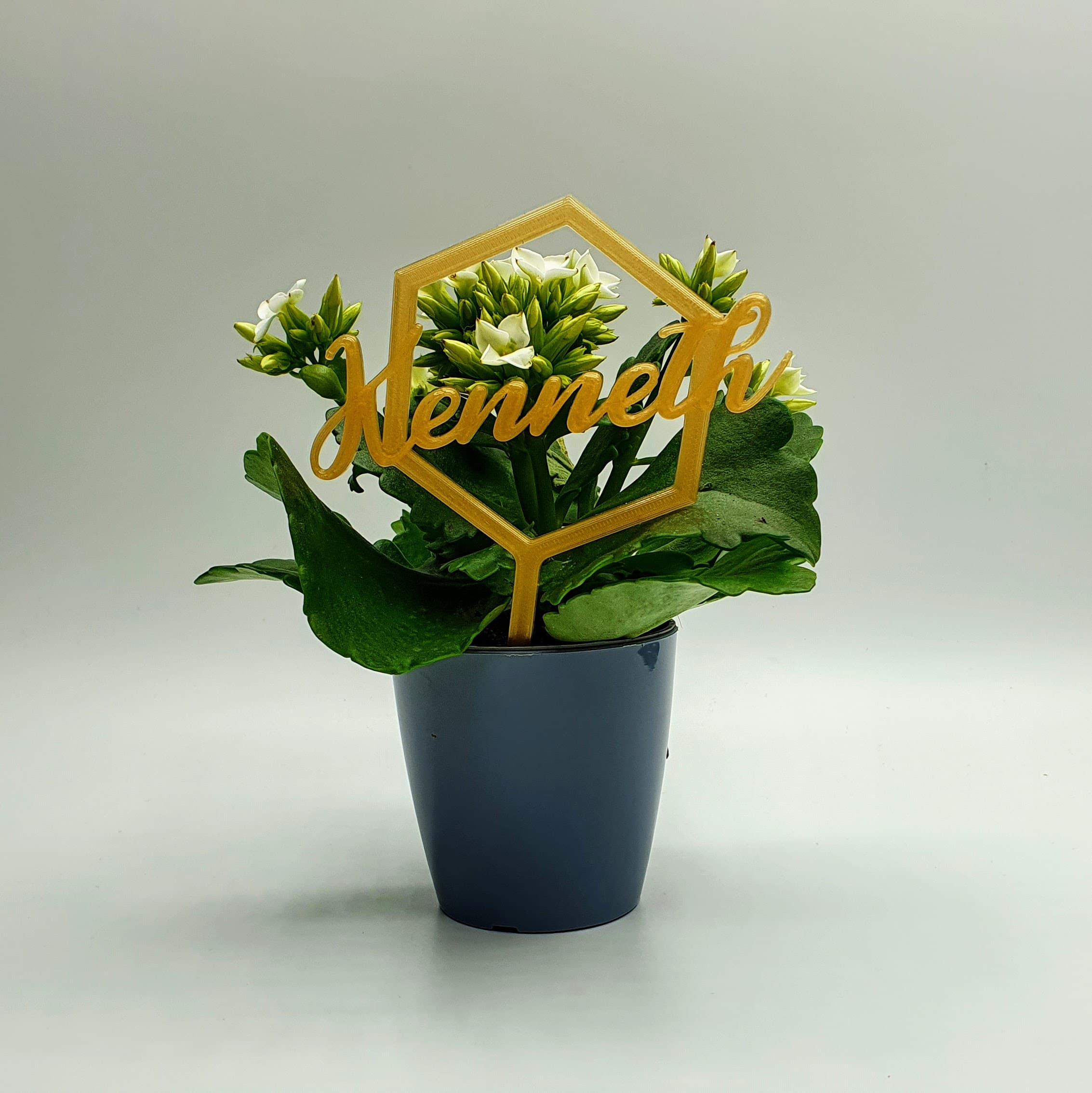 plant stick with name