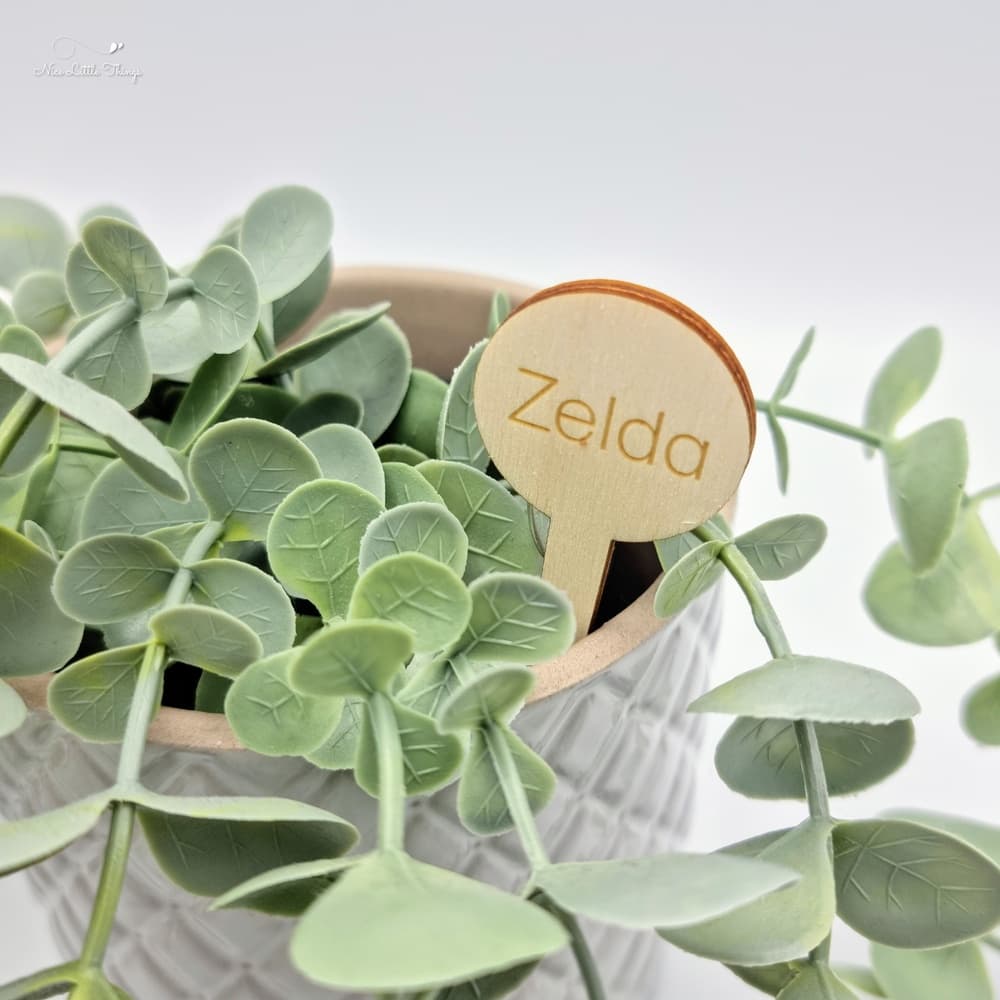 Wooden Plant Stick with Name