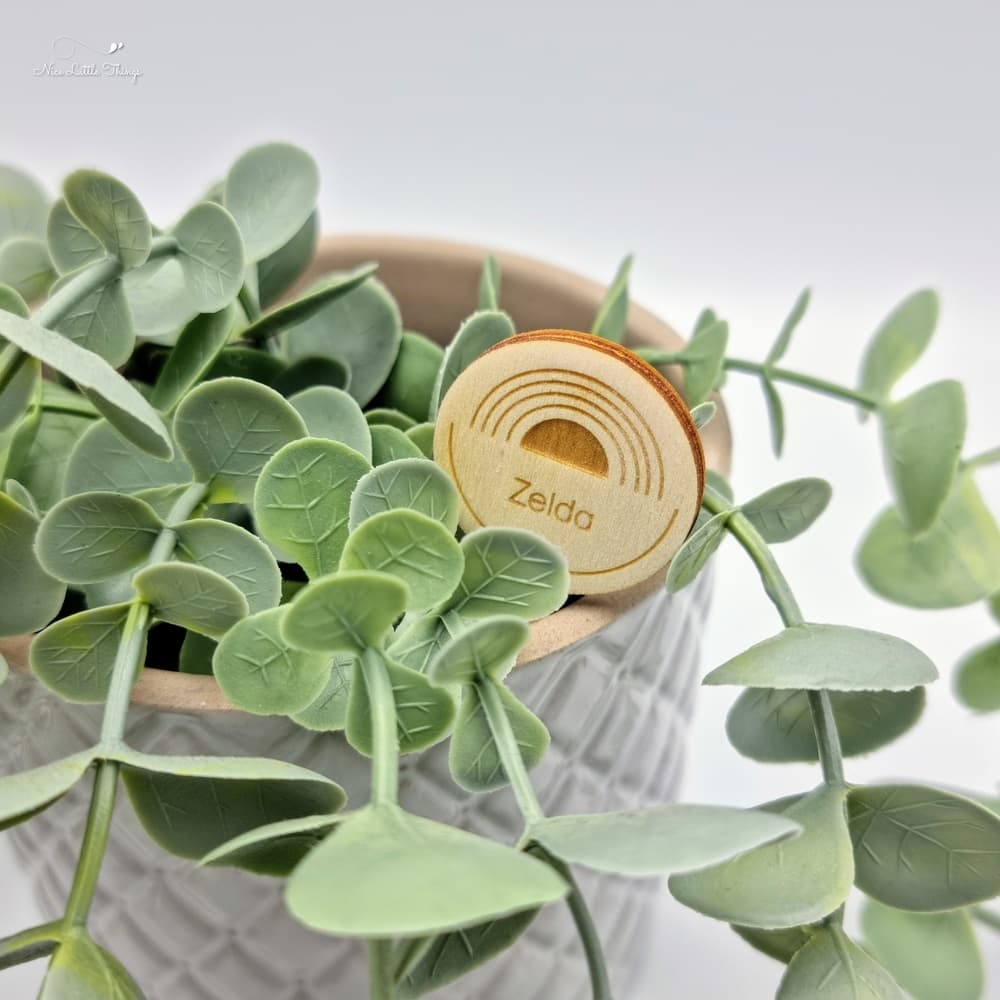 Wooden Plant Stick with Name
