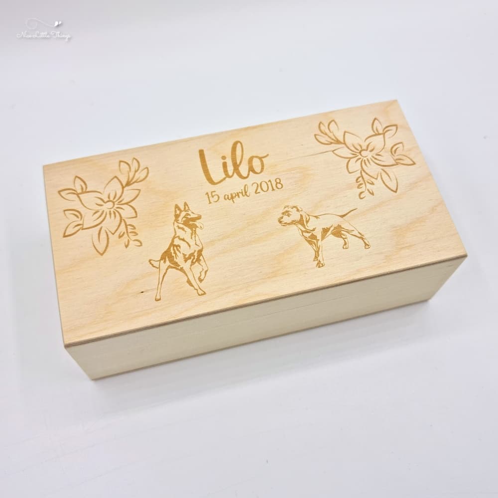 20240115_192843-1705433307131