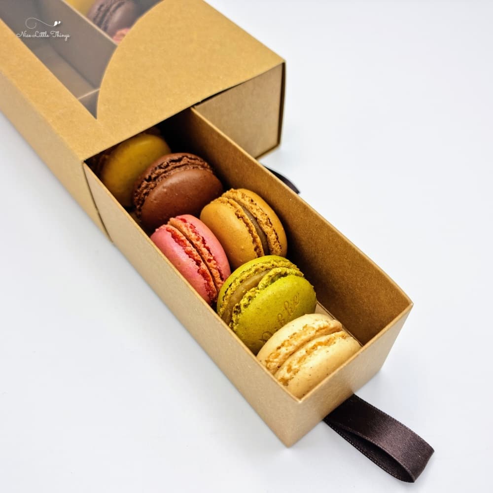 20230406_194138-1680859146491