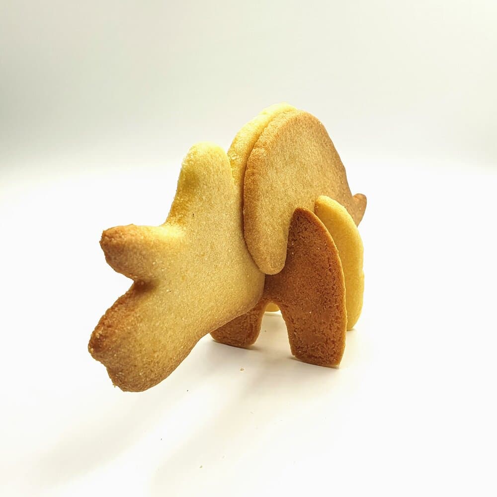 cookie cutter dino